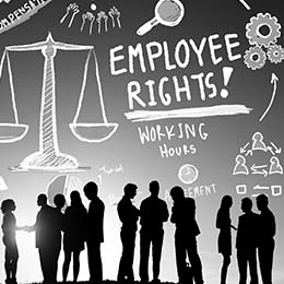 Pay. Protection. Privacy. 8 Employment Law Issues You 
NEED to Know