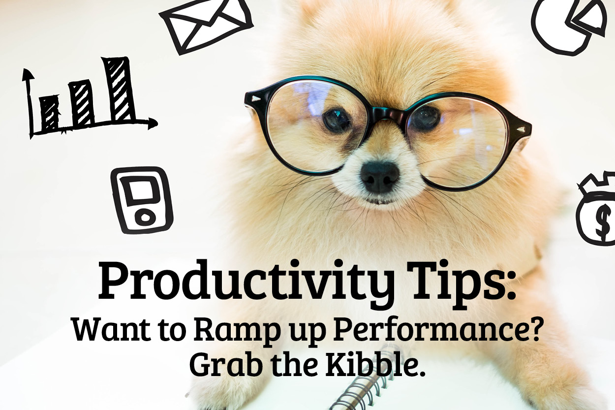Productivity Tips: Want to Ramp up Performance? Grab the Kibble.